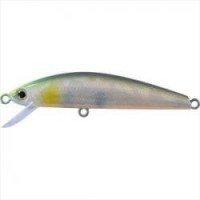 Wobbler Jackson Trout Tune 55s