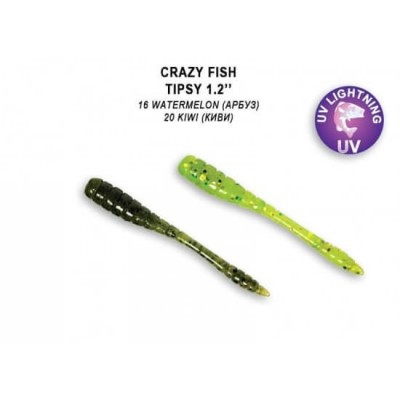 Crazy Fish Tipsy 1.2 " Pack of 16 Crazy Fish - 1