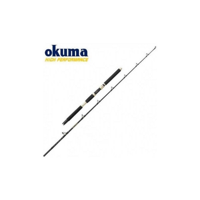 Okuma Solterra Boat 2.28m 30-50lbs 2 parts ALPS Okuma - 1