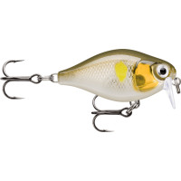 Rapala X-Light Crank Shallow Runner35