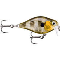Rapala X-Light Crank Shallow Runner35