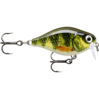 Rapala X-Light Crank Shallow Runner35