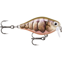 Rapala X-Light Crank Shallow Runner35