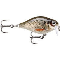 Rapala X-Light Crank Shallow Runner35