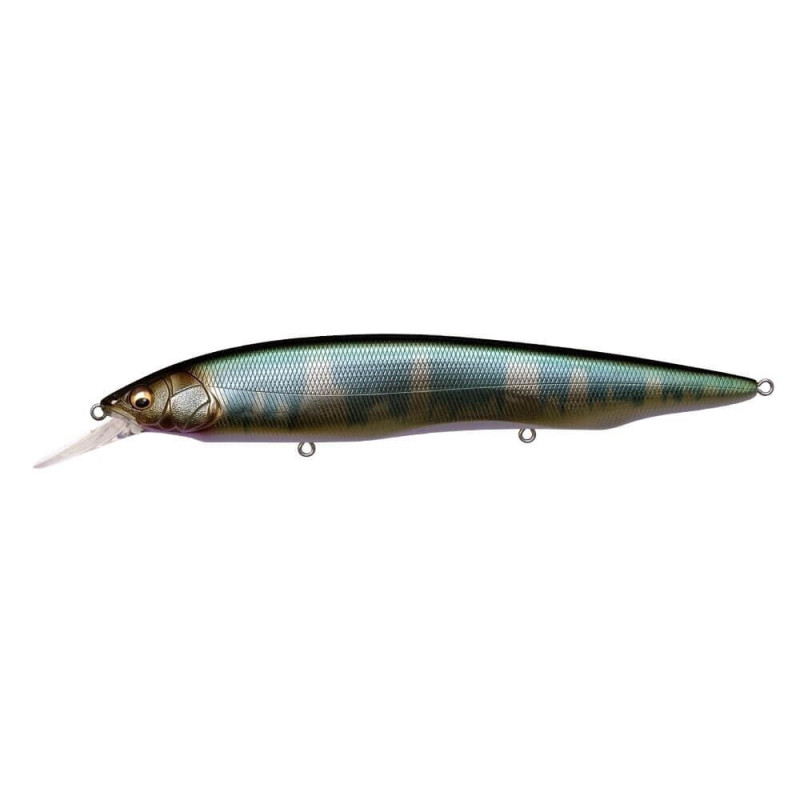 Megabass Kanata +1 Megabass - 9