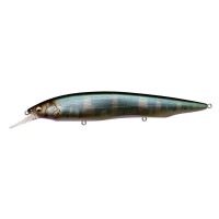 Wobbler Megabass Kanata +1
