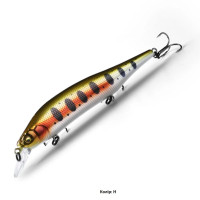 BearKing Asinia M114 115sp (Ito Shiner)