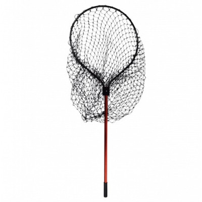 Graibštas Zeox Ellipse PEM-7260155B Zeox - 2