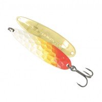 Golden Catch Bright gloss 22g