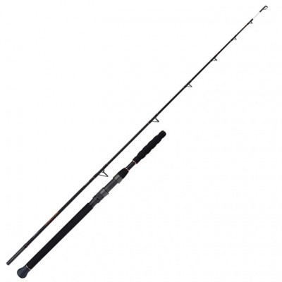 Shimano Beastmaster AX Catfish Spinning Vertical 1,85m 200g 1+1pc