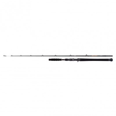 Shimano Beastmaster AX Catfish Casting Vertical 1,85m 200g 1+1pc