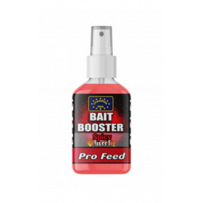 Champion Feed Bait Booster SPICY SWEET 100 мл