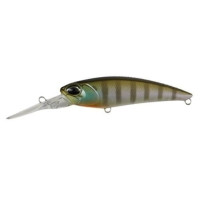 DUO Realis SHad 62DR