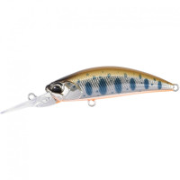 DUO Realis SHad 62DR