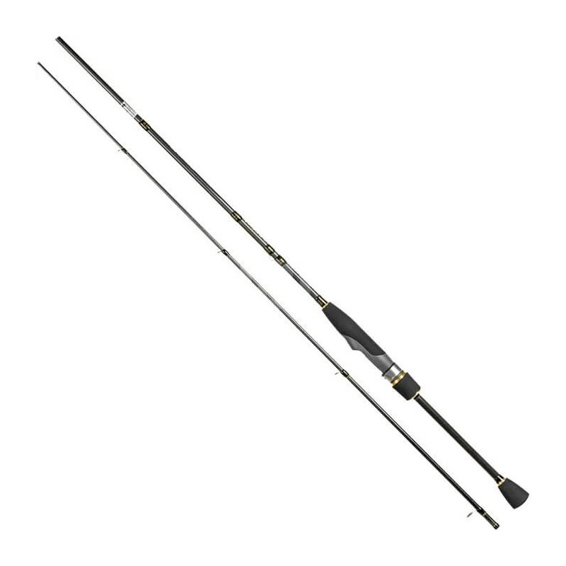 Crazy Fish Arion ASRE962MLT 290cm 5-21g Crazy Fish spiningai - 1