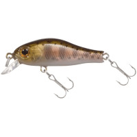 ZIpBaits RIgge 35 F