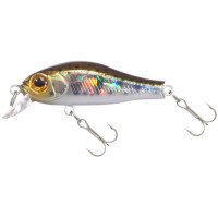 ZIpBaits RIgge 35 F