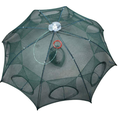 Atora Collapsible crayfish trap SKETCH - 8 holes