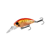 BearKing C38 Mini DR F - 32mm