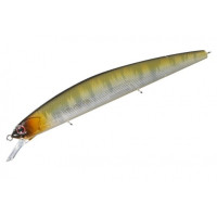 O.S.P. Rudra SP