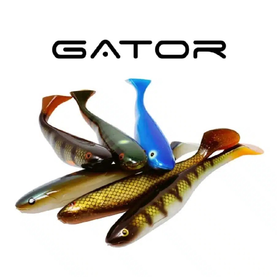Gator